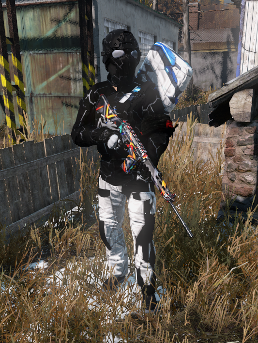 Exemplo de equipamento com skin cosmética